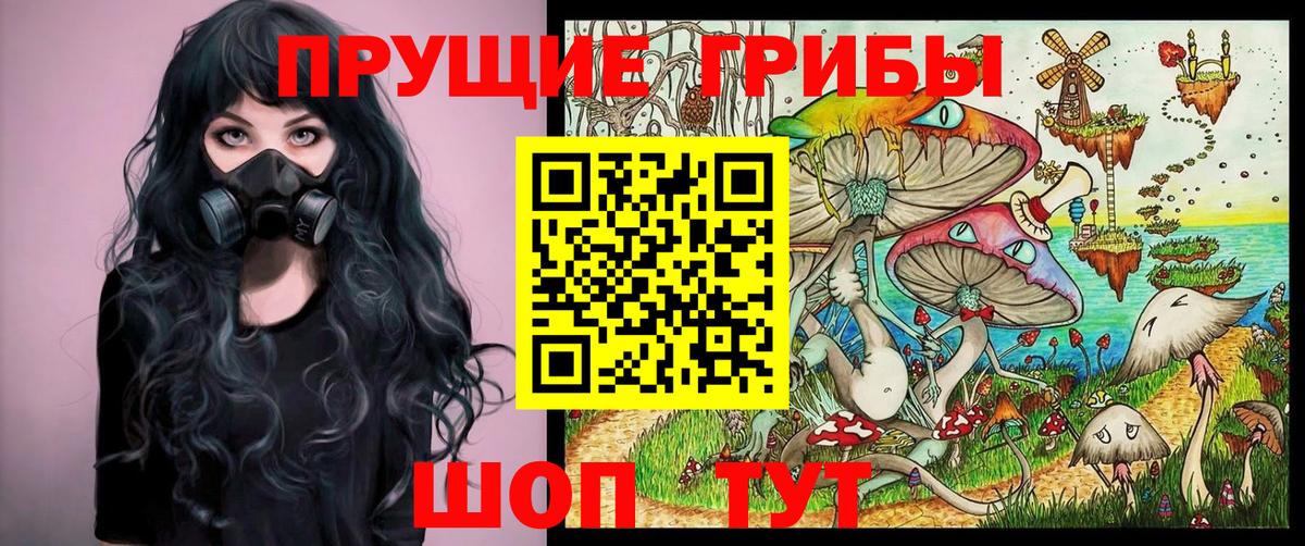 Галлюциногенные грибы Psilocybine cubensis Ефремов