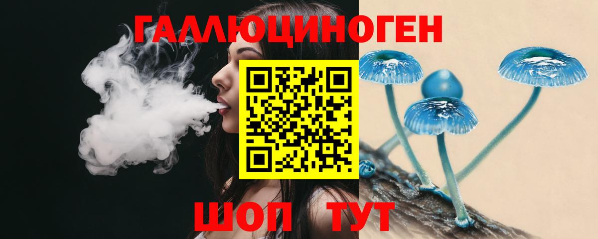 Псилоцибиновые грибы прущие грибы  Вход с VPN  Псилоцибиновые грибы Psilocybine cubensis  Ефремов 